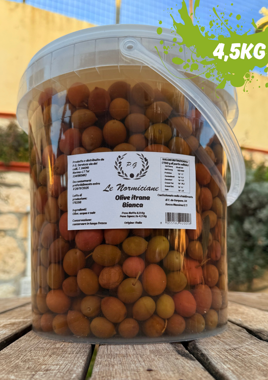 Secchio di Olive Normiciane Le Olive Normiciane